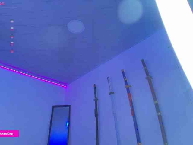 Nicorobin webcam