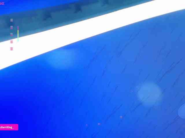 Nicorobin webcam