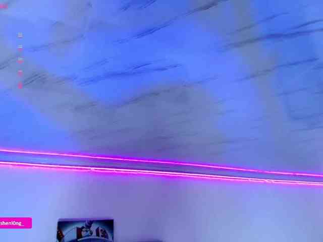 Nicorobin webcam
