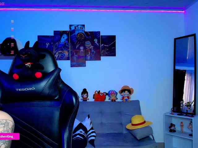 Nicorobin webcam