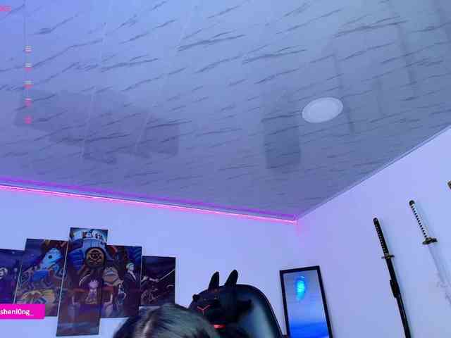 Nicorobin webcam