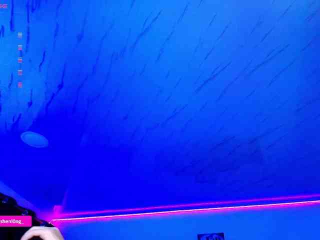 Nicorobin webcam