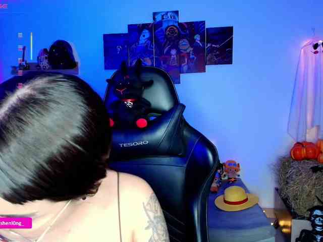Nicorobin webcam
