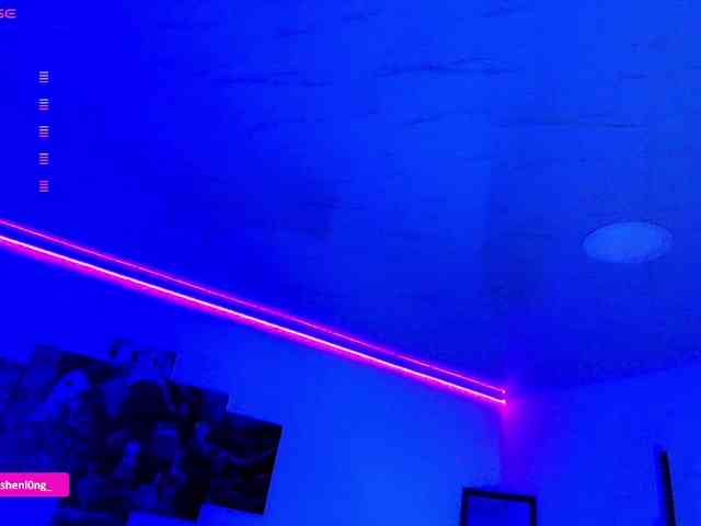Nicorobin webcam
