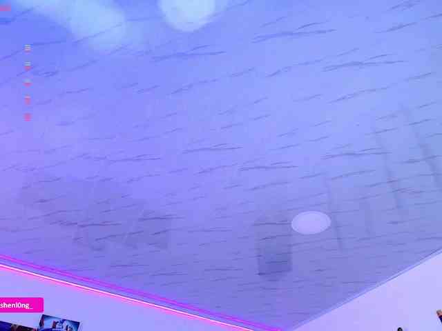 Nicorobin webcam