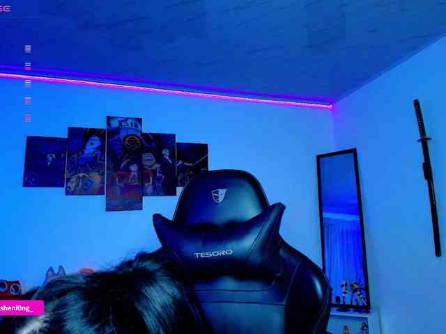 Nicorobin webcam
