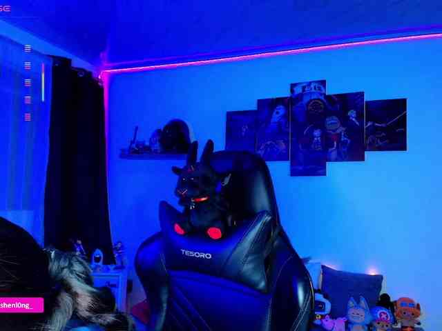 Nicorobin webcam