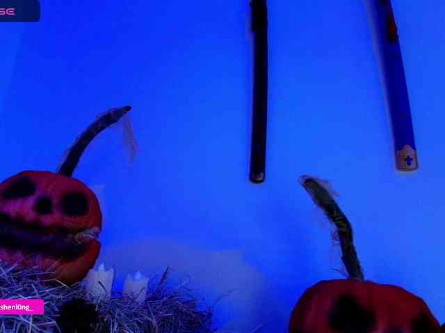 Nicorobin webcam