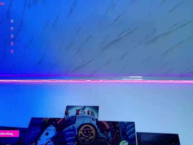 Nicorobin webcam