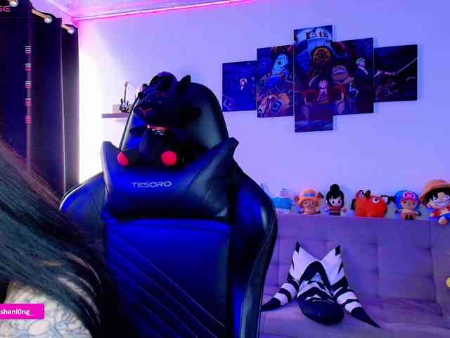 Nicorobin webcam