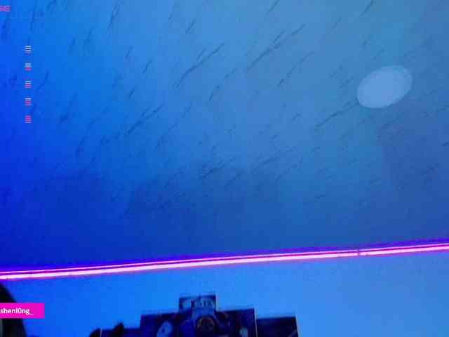 Nicorobin webcam
