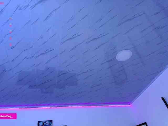 Nicorobin webcam