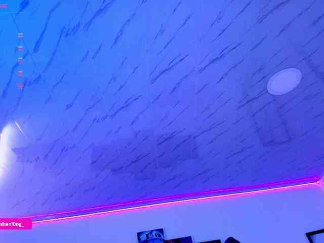 Nicorobin webcam
