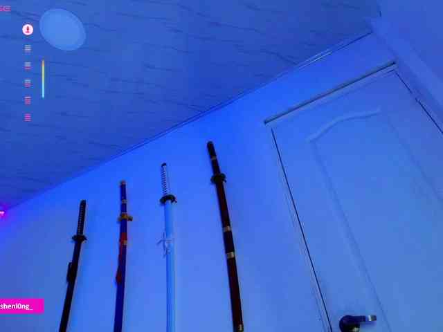 Nicorobin webcam