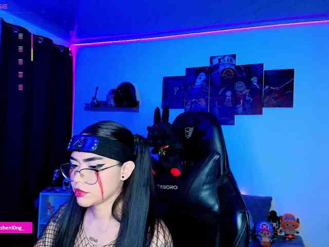 Nicorobin webcam
