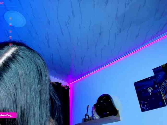 Nicorobin webcam