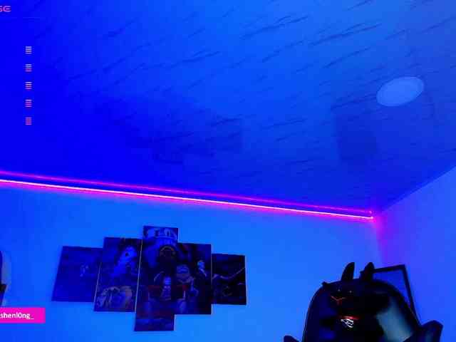 Nicorobin webcam
