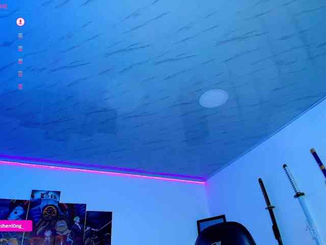 Nicorobin webcam