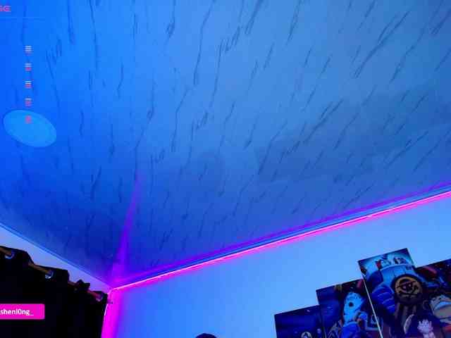 Nicorobin webcam