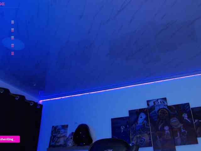 Nicorobin webcam