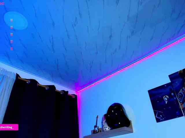 Nicorobin webcam