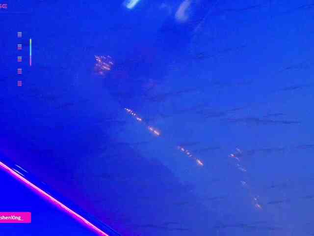 Nicorobin webcam