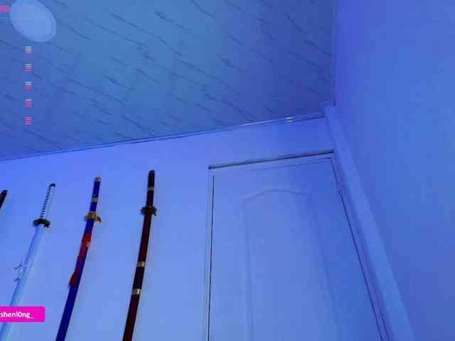 Nicorobin webcam