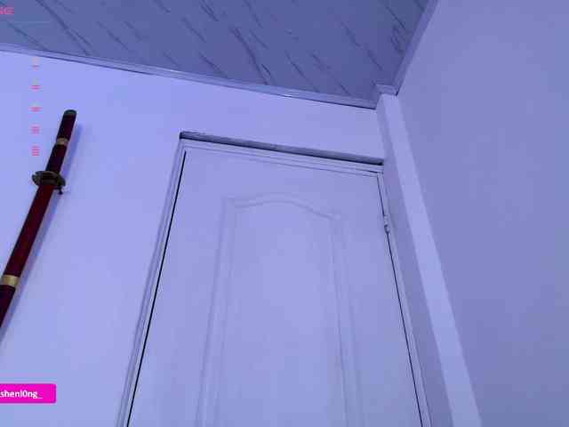Nicorobin webcam