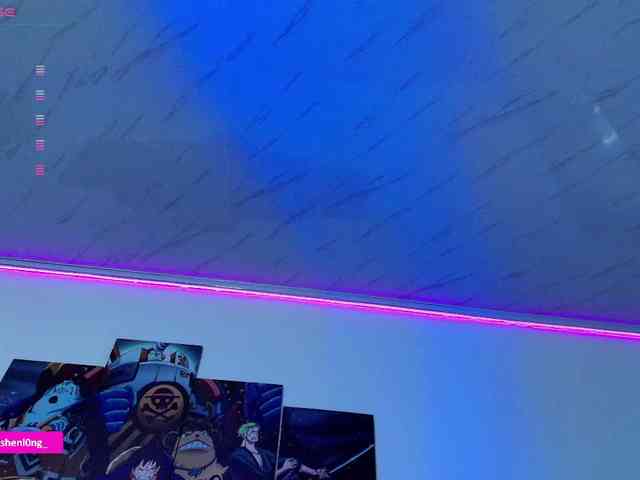 Nicorobin webcam