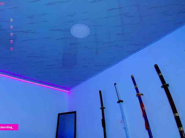 Nicorobin webcam