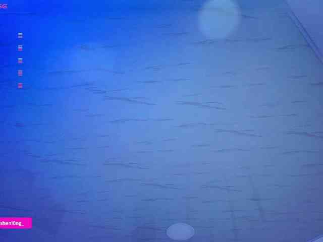 Nicorobin webcam