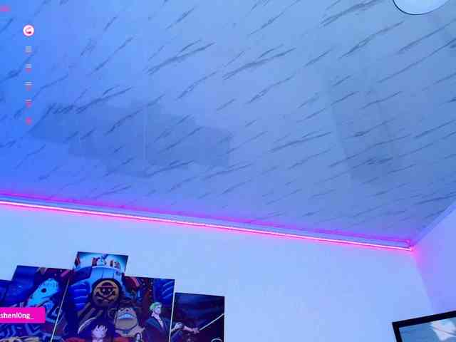 Nicorobin webcam