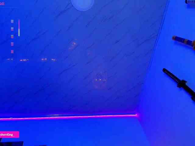 Nicorobin webcam