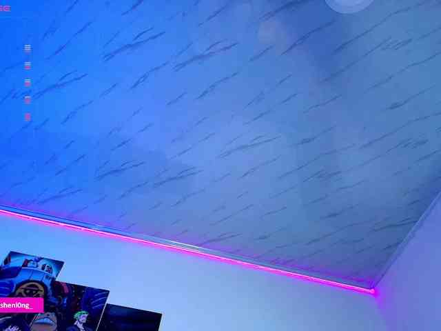 Nicorobin webcam