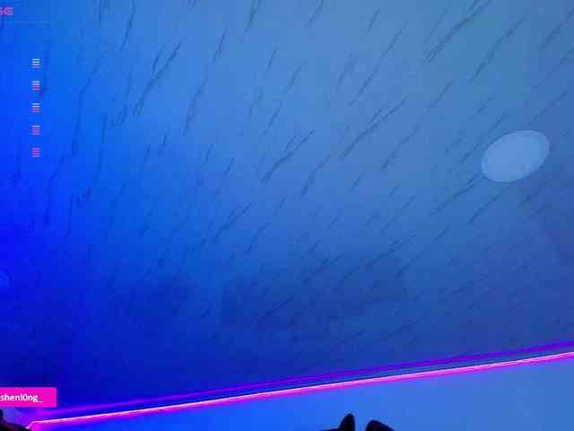 Nicorobin webcam