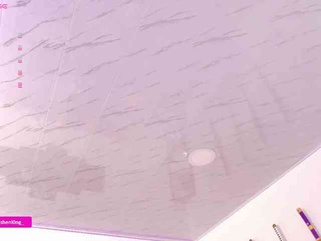 Nicorobin webcam