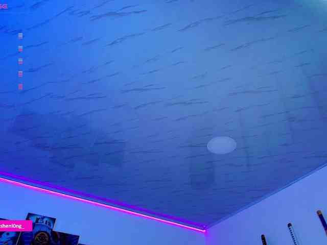 Nicorobin webcam