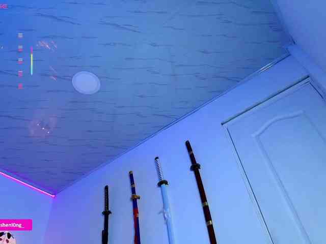 Nicorobin webcam