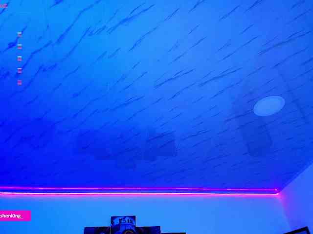 Nicorobin webcam