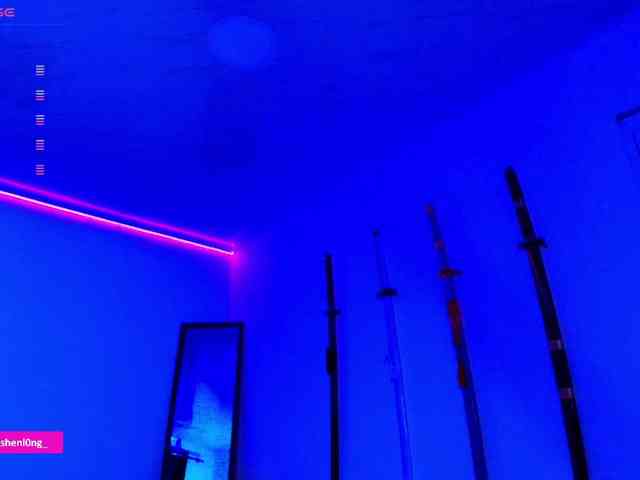 Nicorobin webcam