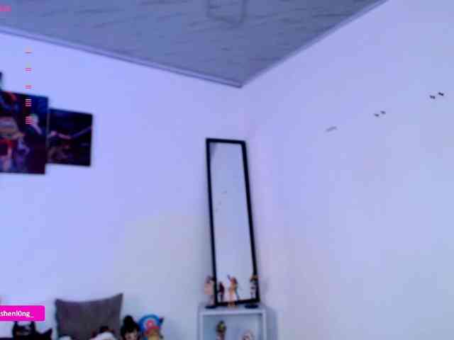 Nicorobin webcam