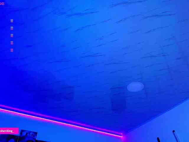 Nicorobin webcam
