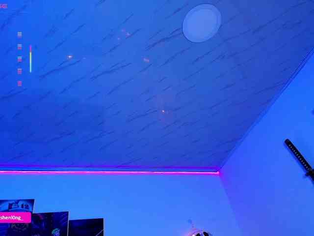 Nicorobin webcam
