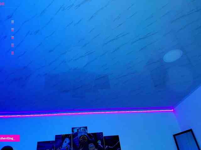 Nicorobin webcam