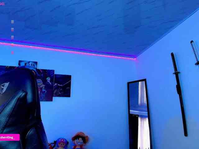 Nicorobin webcam