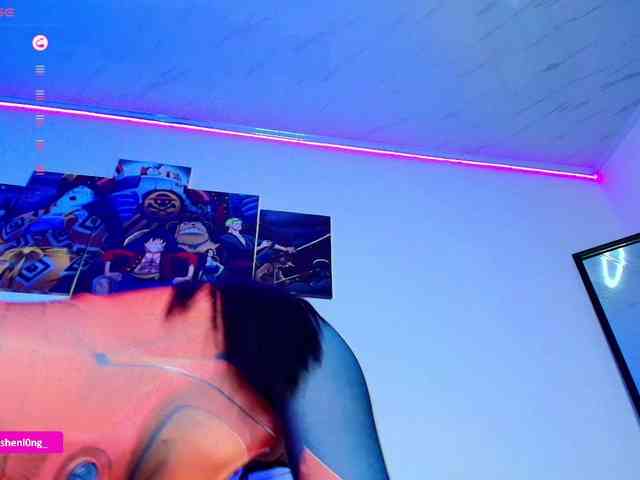 Nicorobin webcam