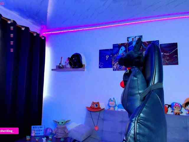 Nicorobin webcam