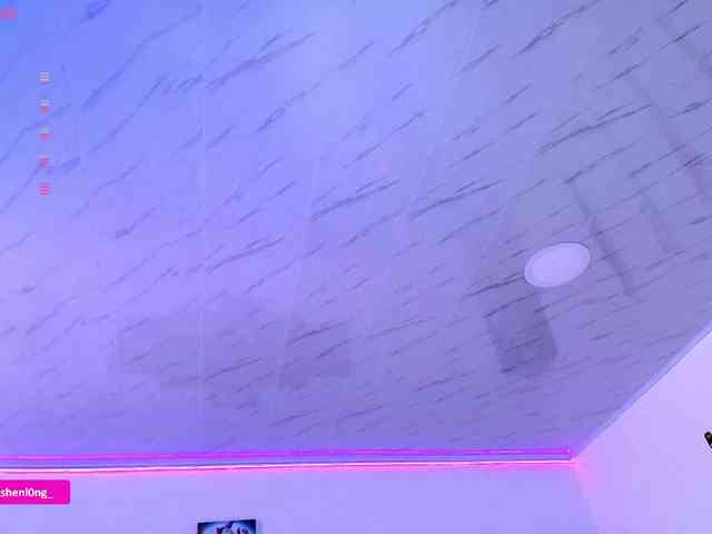 Nicorobin webcam