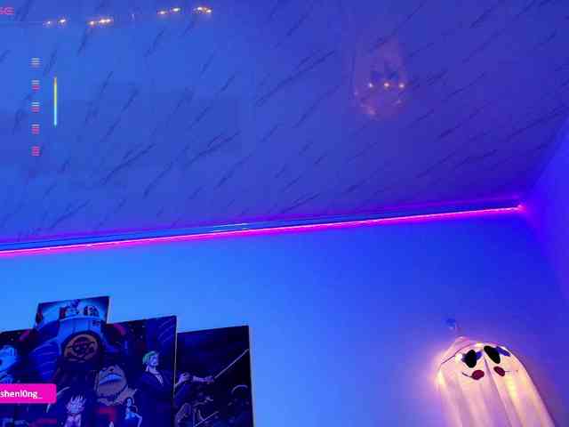 Nicorobin webcam