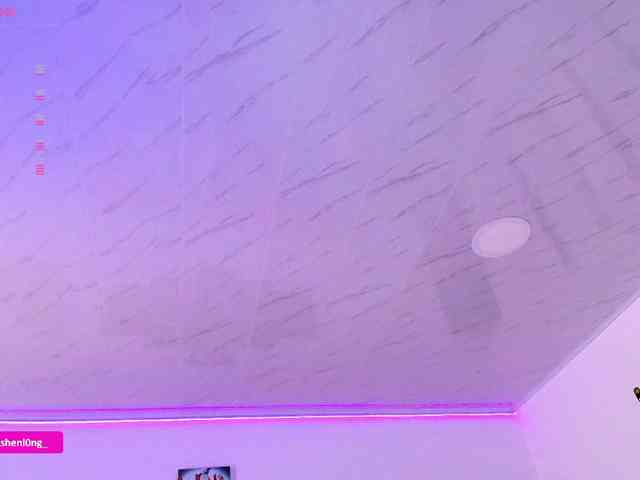 Nicorobin webcam